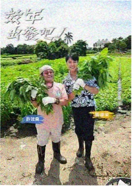 深夜对谈录 深度访谈综艺推荐